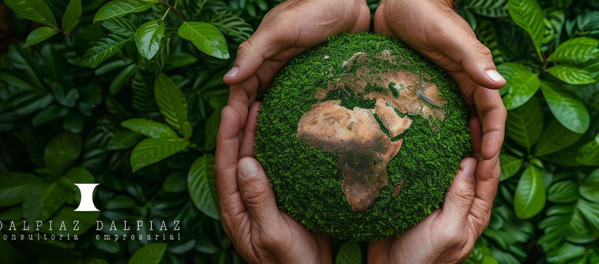 Economia Circular e Logística Reversa como Instrumentos para a Transição Sustentável