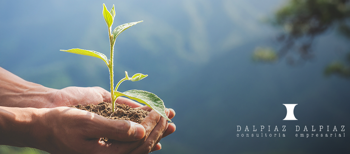 Governança Corporativa e Sustentabilidade: alinhando resultado, ética e impacto ambiental