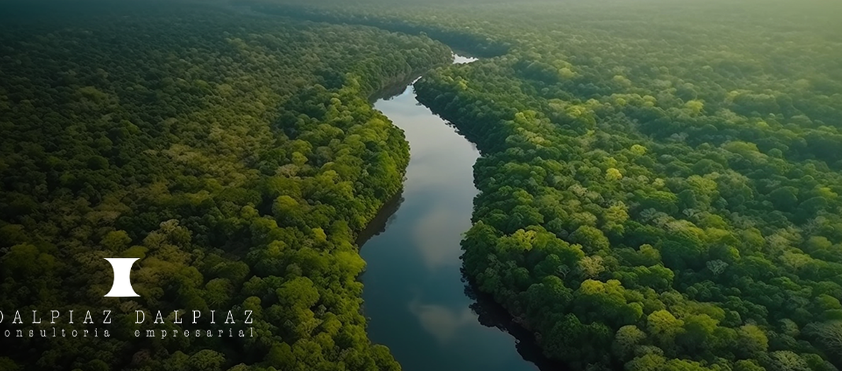 O que esperar da COP 2025: Oportunidades e Desafios para o Brasil