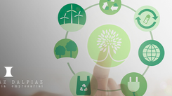 O potencial da bioeconomia em uma estratégia de gestão ambiental