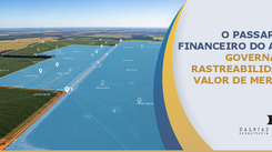 O Passaporte Financeiro do Agro: Governança, Rastreabilidade e Valor de Mercado