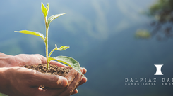 Governança Corporativa e Sustentabilidade: alinhando resultado, ética e impacto ambiental